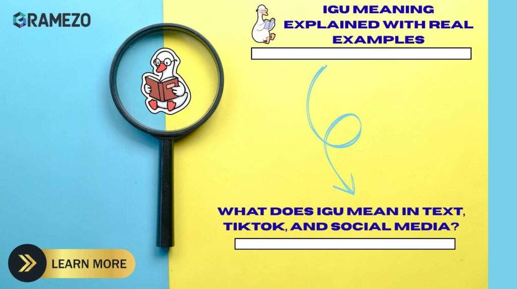 IGU Meaning Explained with Real Examples: What Does IGU Mean In Text, TikTok, And Social Media?