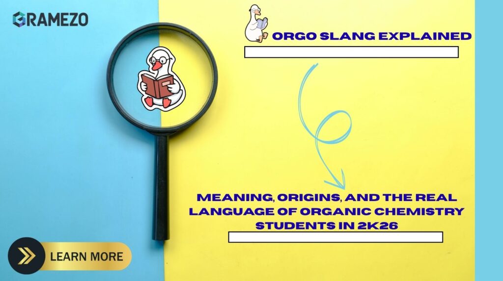 Orgo Slang Explained: Meaning, Origins, And The Real Language Of Organic Chemistry Students In 2k26