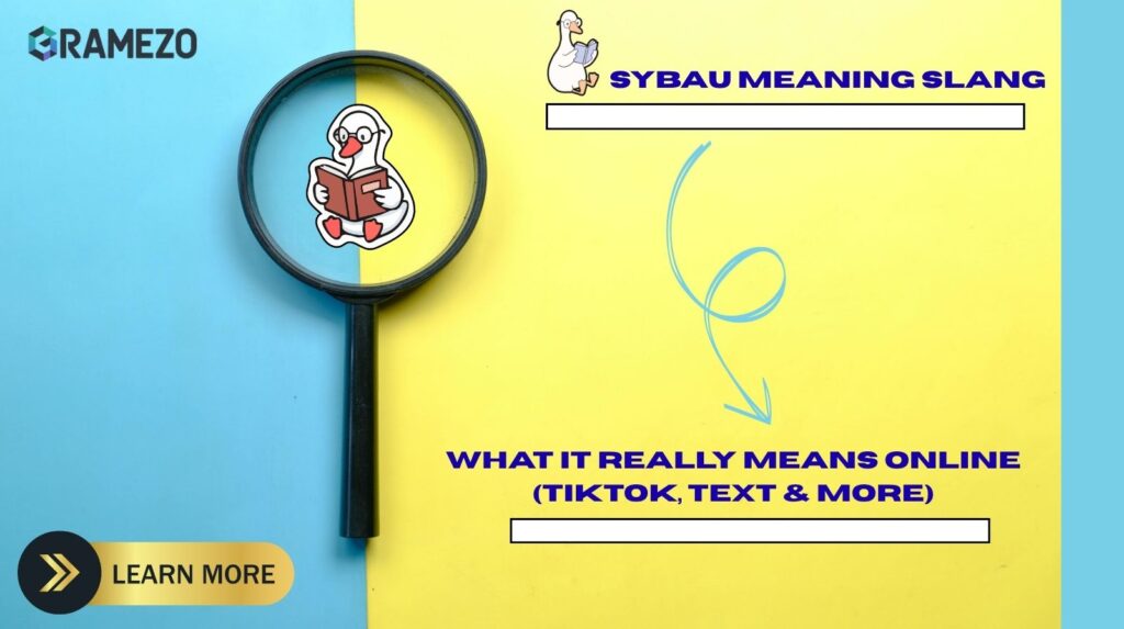 SYBAU Meaning Slang | What It REALLY Means Online (TikTok, Text & More)