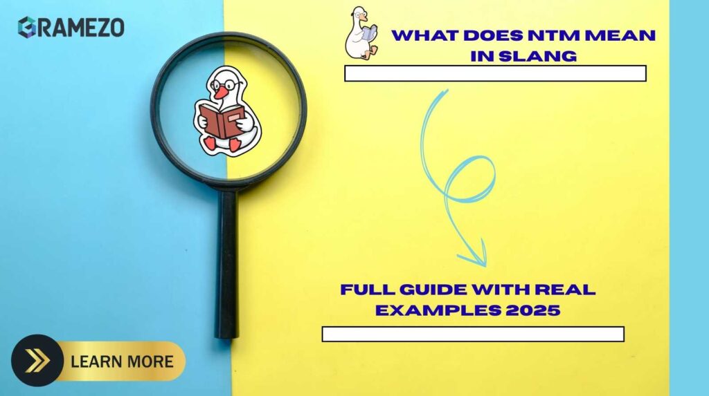 What Does NTM Mean In Slang? Full Guide with Real Examples 2025