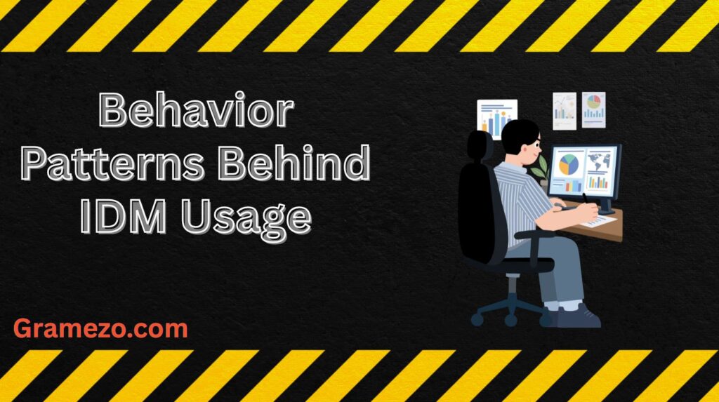 Behavior Patterns Behind IDM Usage