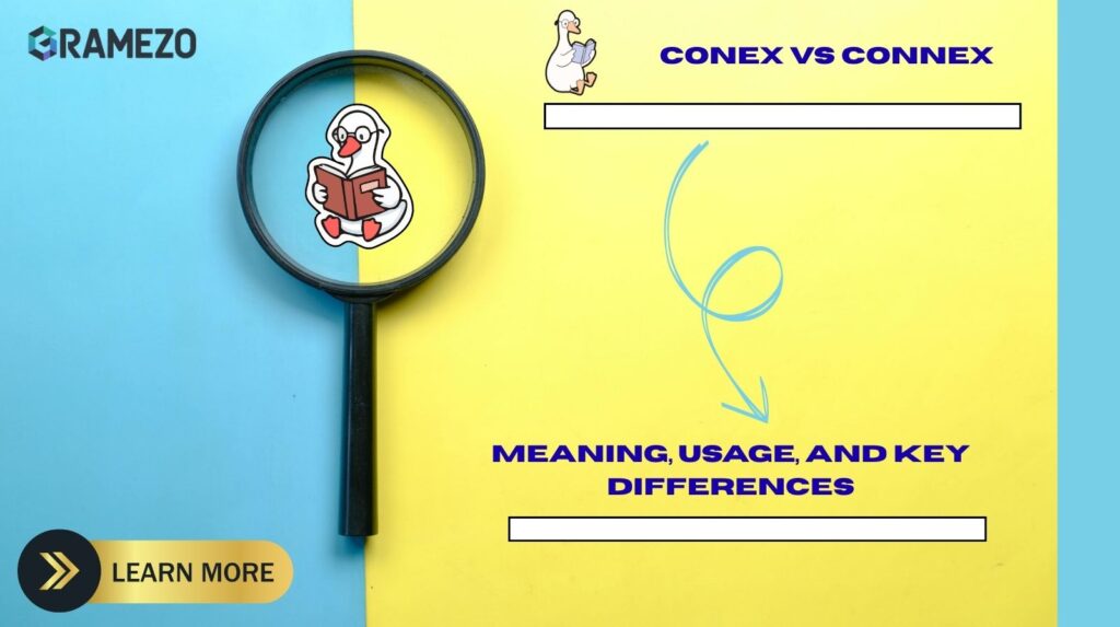 Conex vs Connex Meaning, Usage, And Key Differences
