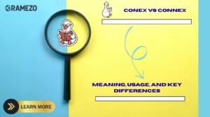 Conex vs Connex Meaning, Usage, And Key Differences