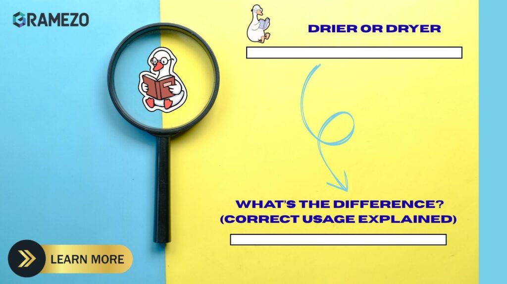 Drier or Dryer: What’s The Difference? (Correct Usage Explained)