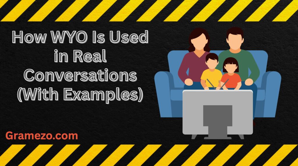 How WYO Is Used in Real Conversations (With Examples)