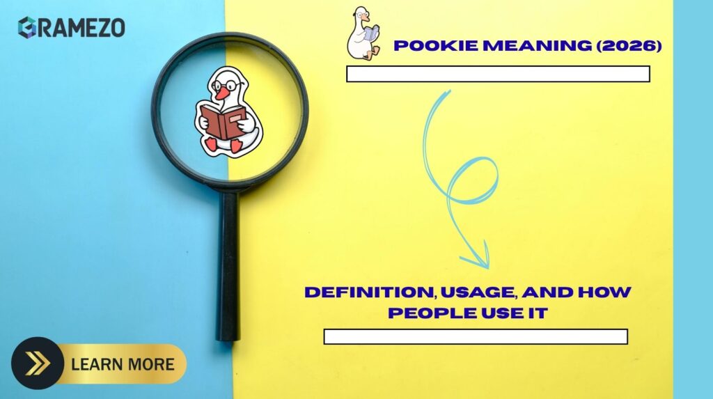 Pookie Meaning (2026) | Definition, Usage, And How People Use It
