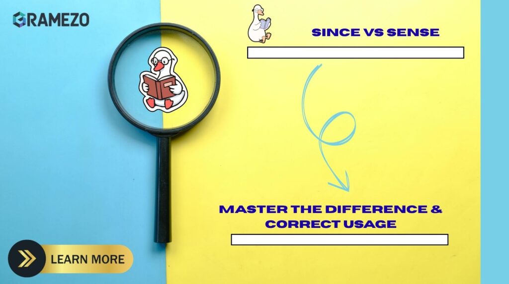 Since vs Sense Master The Difference & Correct Usage