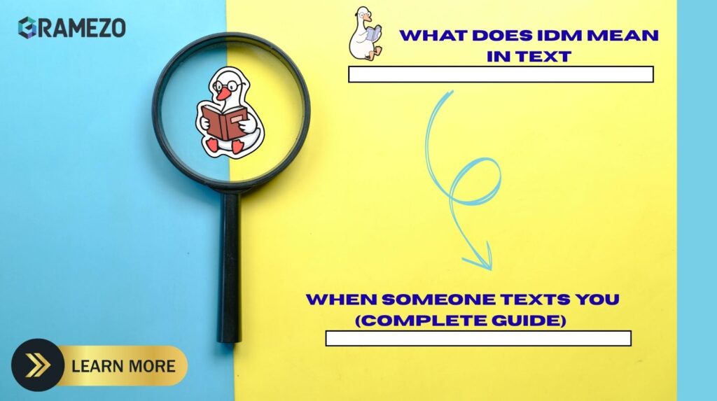What Does IDM Mean In Text? When Someone Texts You (Complete Guide)