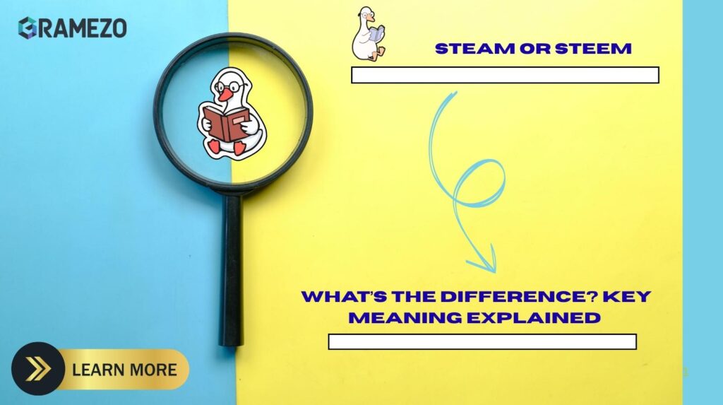 Steam or Steem: What’s The Difference? Key Meaning Explained