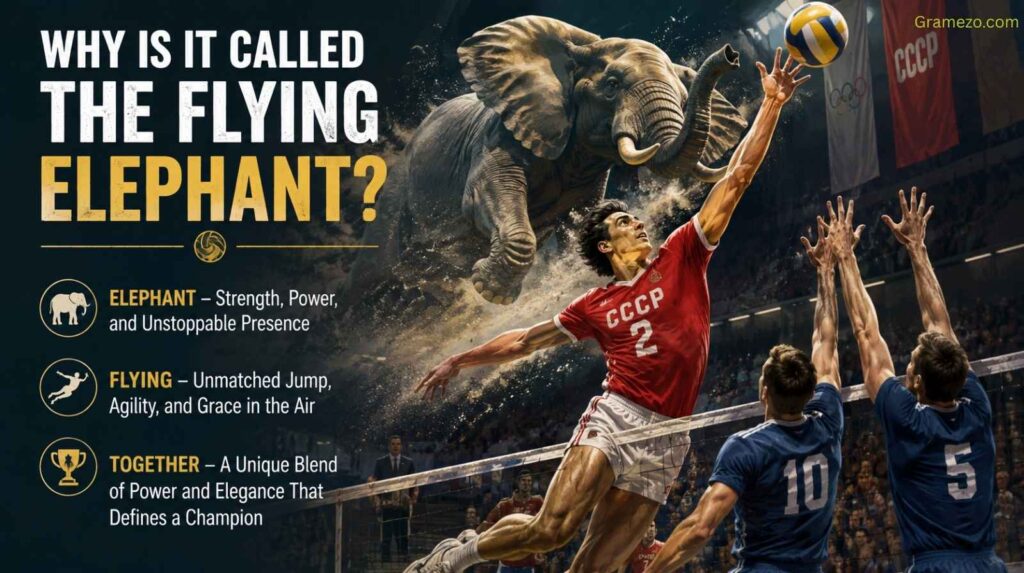 Why Is It Called "The Flying Elephant"?
